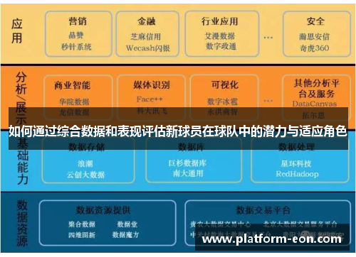 如何通过综合数据和表现评估新球员在球队中的潜力与适应角色