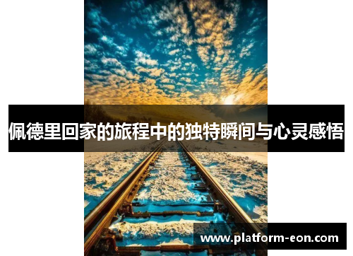 佩德里回家的旅程中的独特瞬间与心灵感悟
