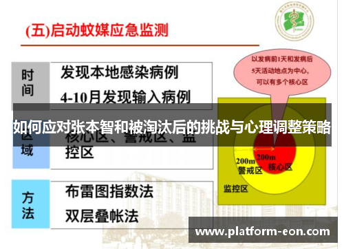 如何应对张本智和被淘汰后的挑战与心理调整策略