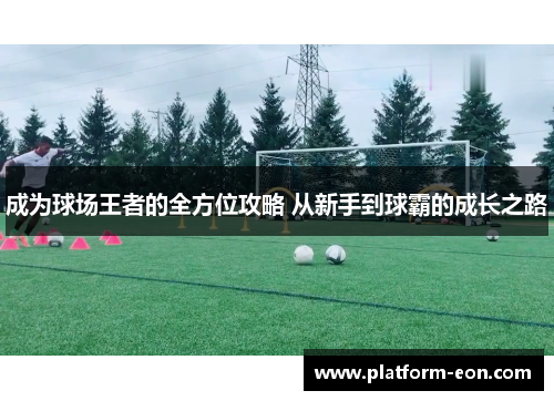 成为球场王者的全方位攻略 从新手到球霸的成长之路