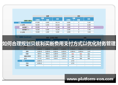 如何合理规划贝兹利买断费用支付方式以优化财务管理