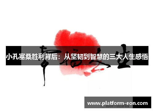 小孔塞桑胜利背后：从坚韧到智慧的三大人生感悟