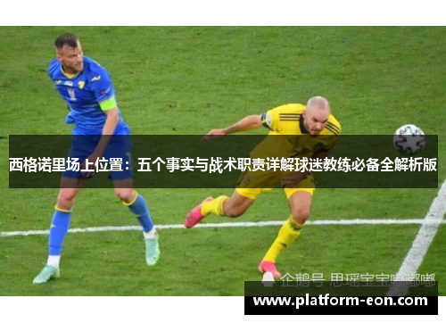 西格诺里场上位置：五个事实与战术职责详解球迷教练必备全解析版